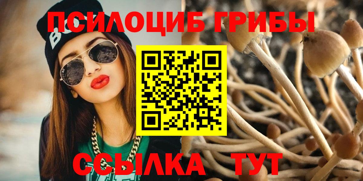 Псилоцибиновые грибы мухоморы  Вход с VPN  Галлюциногенные грибы MAGIC MUSHROOMS  Карабулак 
